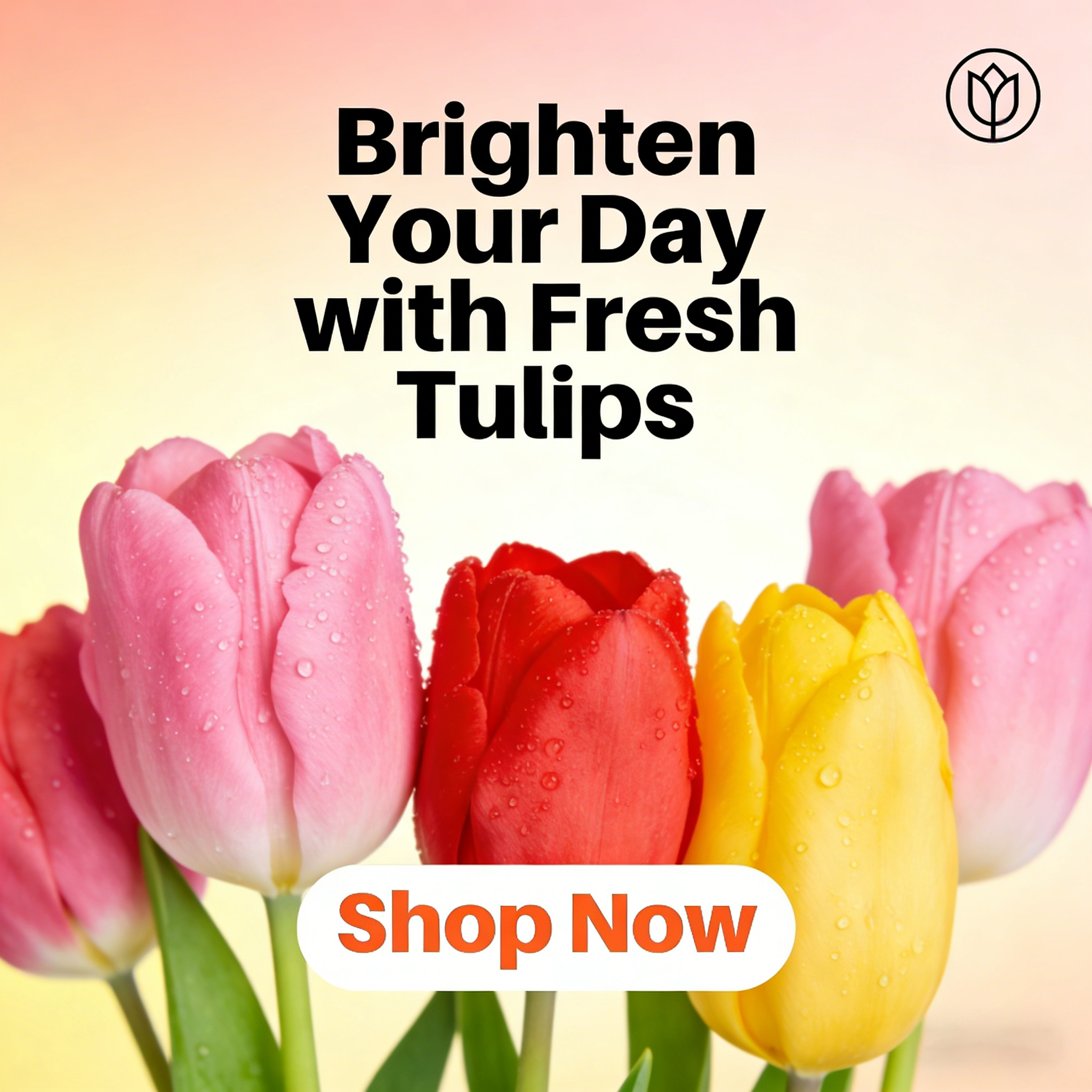 Tulip Seeds – Grow a Stunning Spring Garden Full of Color