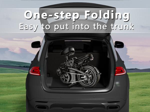  Folding Electric Bike for Adults