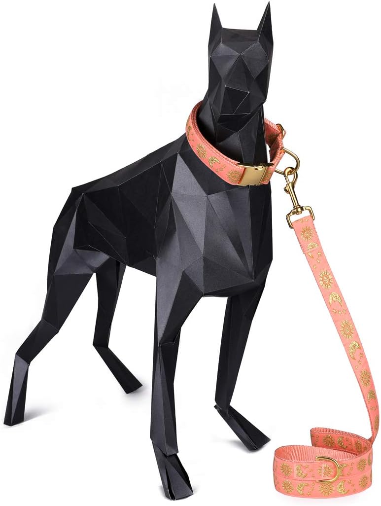 Moons and Stars Dog Collar Pink