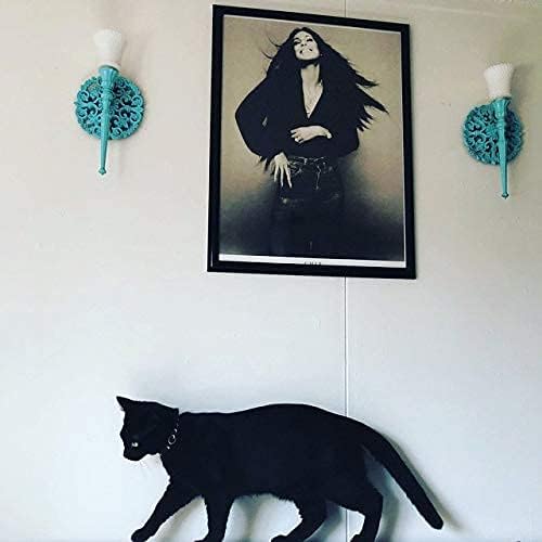 Crescent Moon Galaxy Space Cat Collar