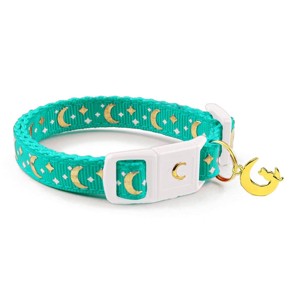 Aqua Cat Collar Breakaway
