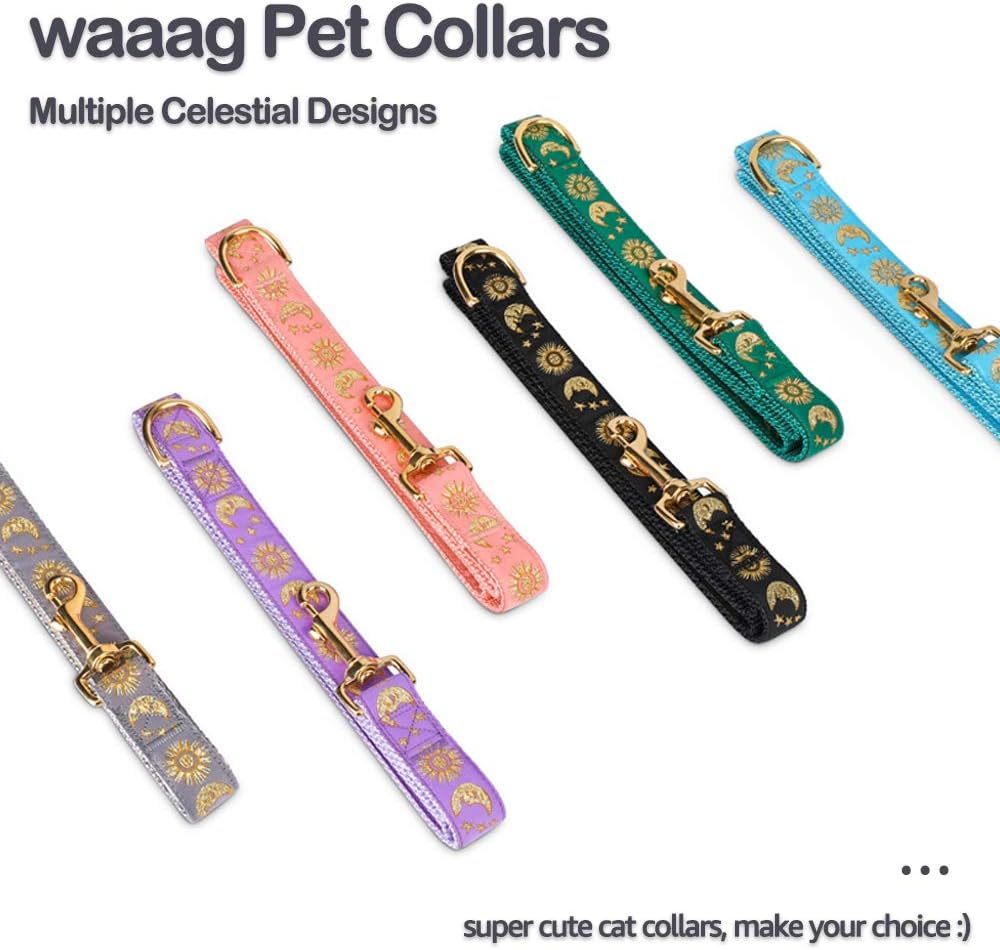 Moons and Stars Dog Leash Green