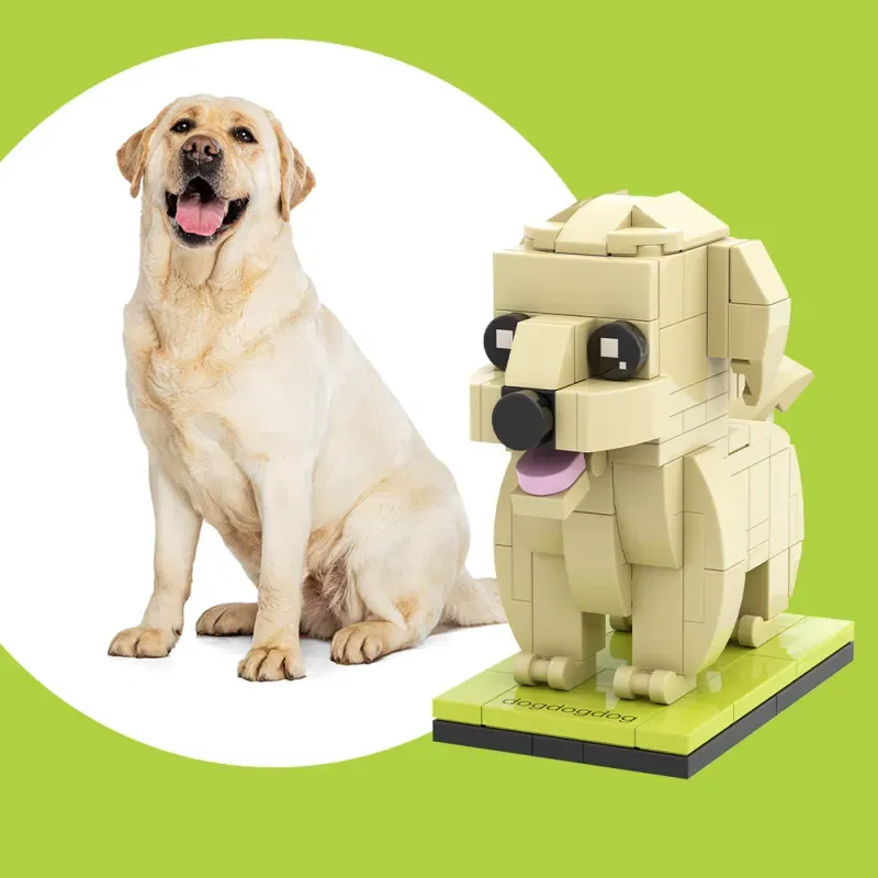 Fully Body Custom Labrador Dog, Photo Custom Brick Figures