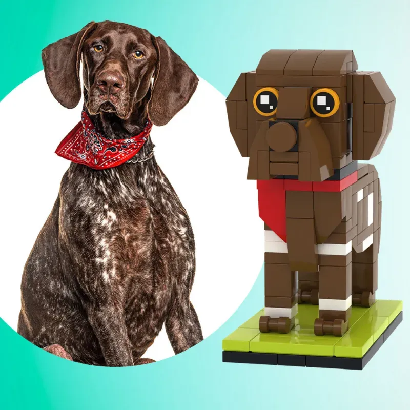 Fully Body Custom German Shorthaired Pointer Dog, Photo Custom Brick Figures Small Particle Block Brick
