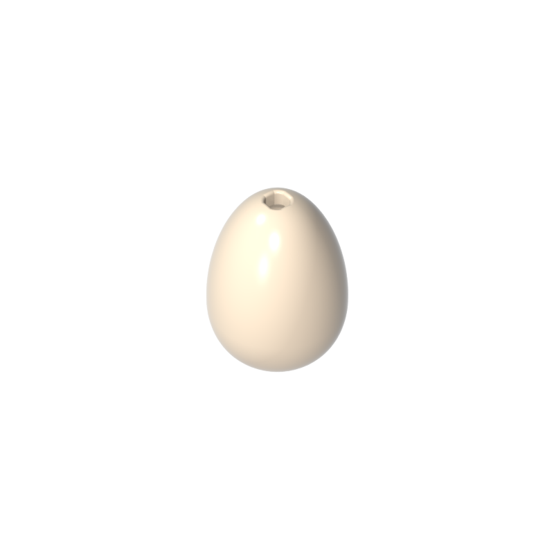 Bird eggs