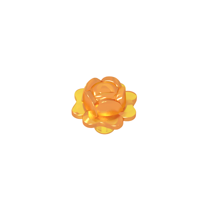 Plant Rose
