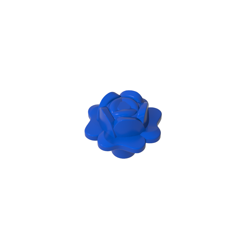 Plant Rose