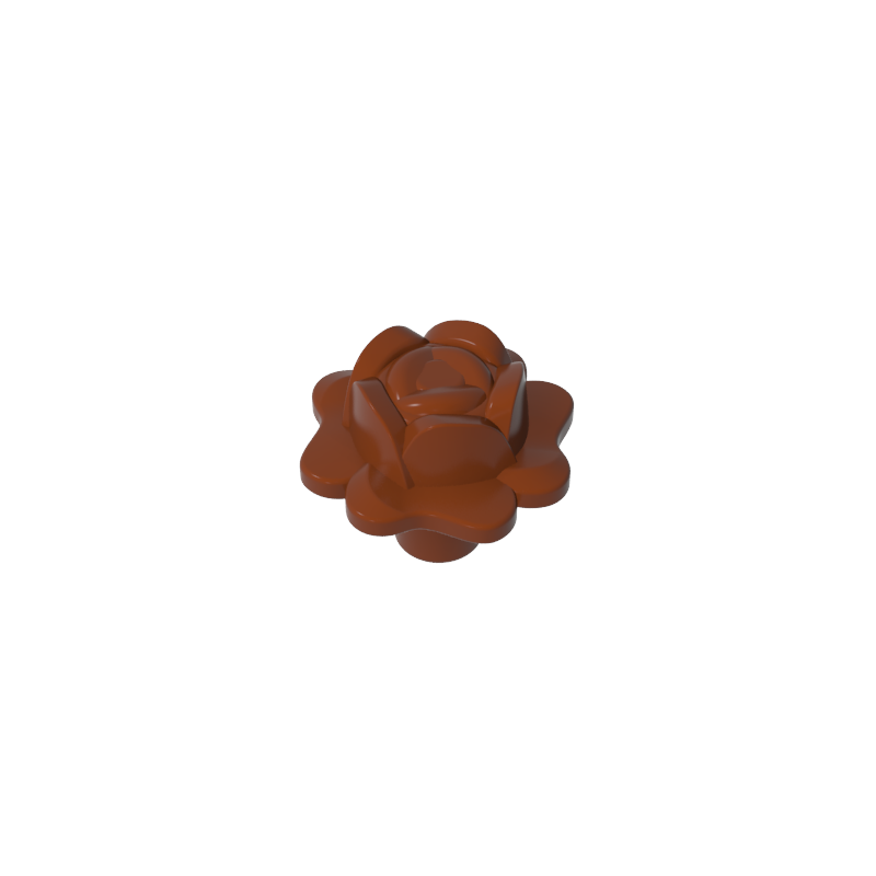 Plant Rose
