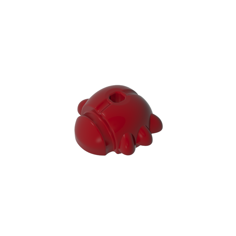 insect ladybug
