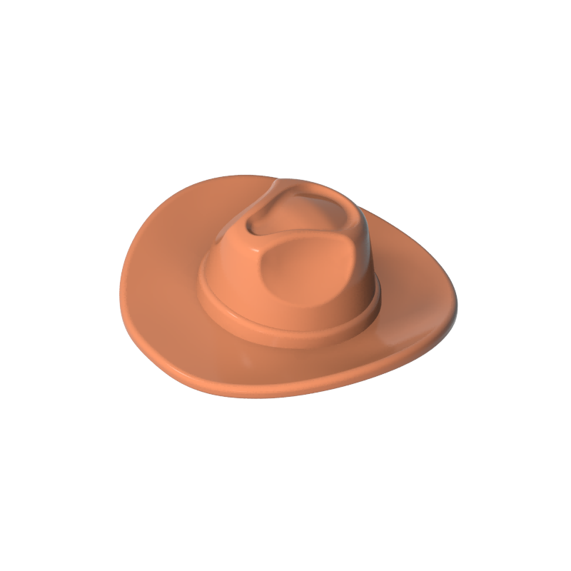 cowboy hat