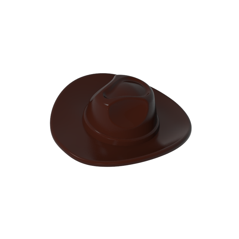 cowboy hat