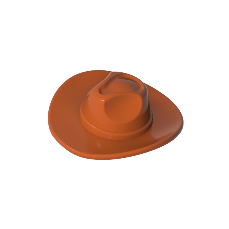 cowboy hat