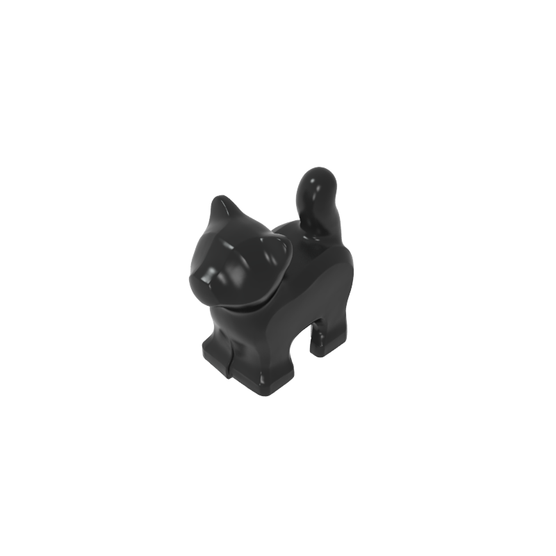 cat kitten