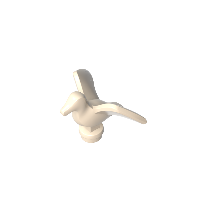seagull