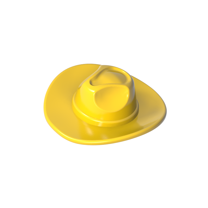 cowboy hat