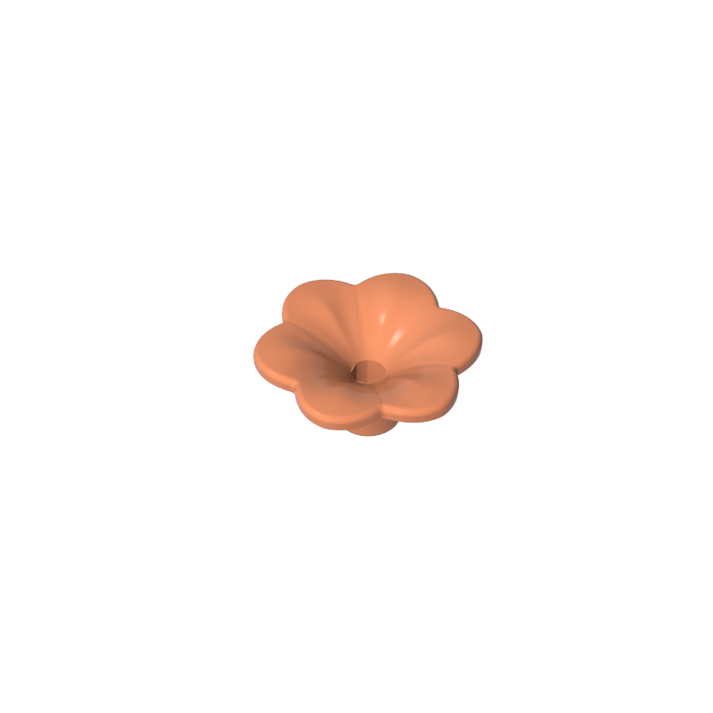 Fiore A Sei Petali