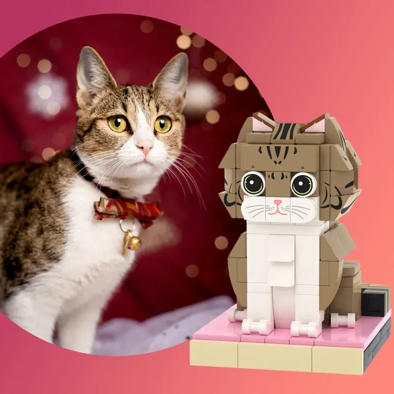 Mattoncini personalizzabili a figura intera con foto di animali domestici, mattoncini personalizzabili con gatto, set di giocattoli in plastica ad incastro universali
