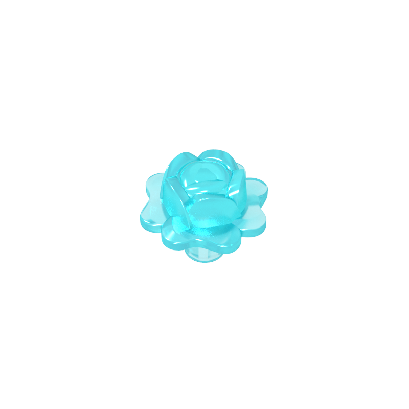 Plant Rose