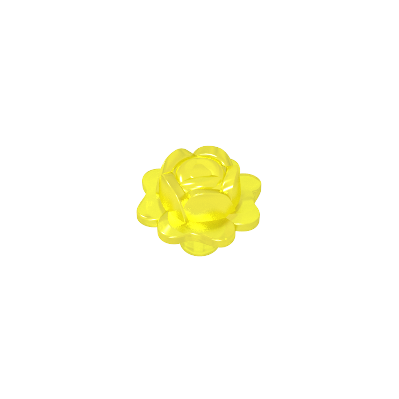 plant rose flower