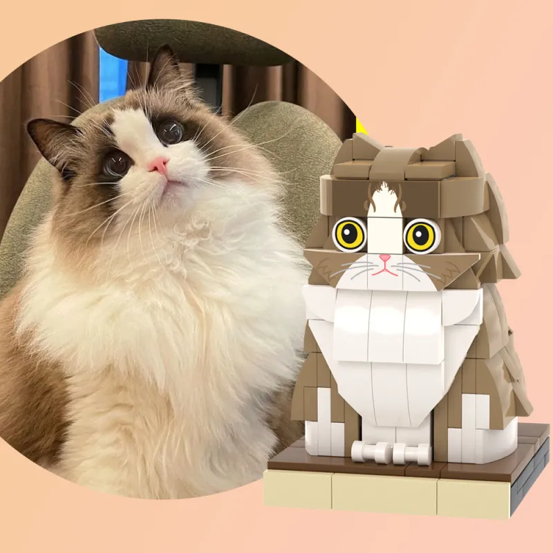 Mattoncini personalizzabili a figura intera con foto di animali domestici, mattoncini personalizzabili con gatto, set di giocattoli in plastica ad incastro universali