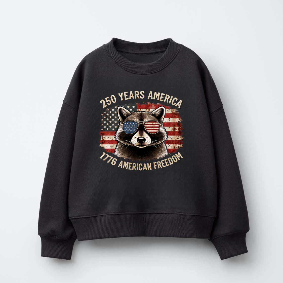 Racoon American Flag Sweatshirt 250 Years America 1776 American Freedom Patriotic Crewneck Pullover Shirt