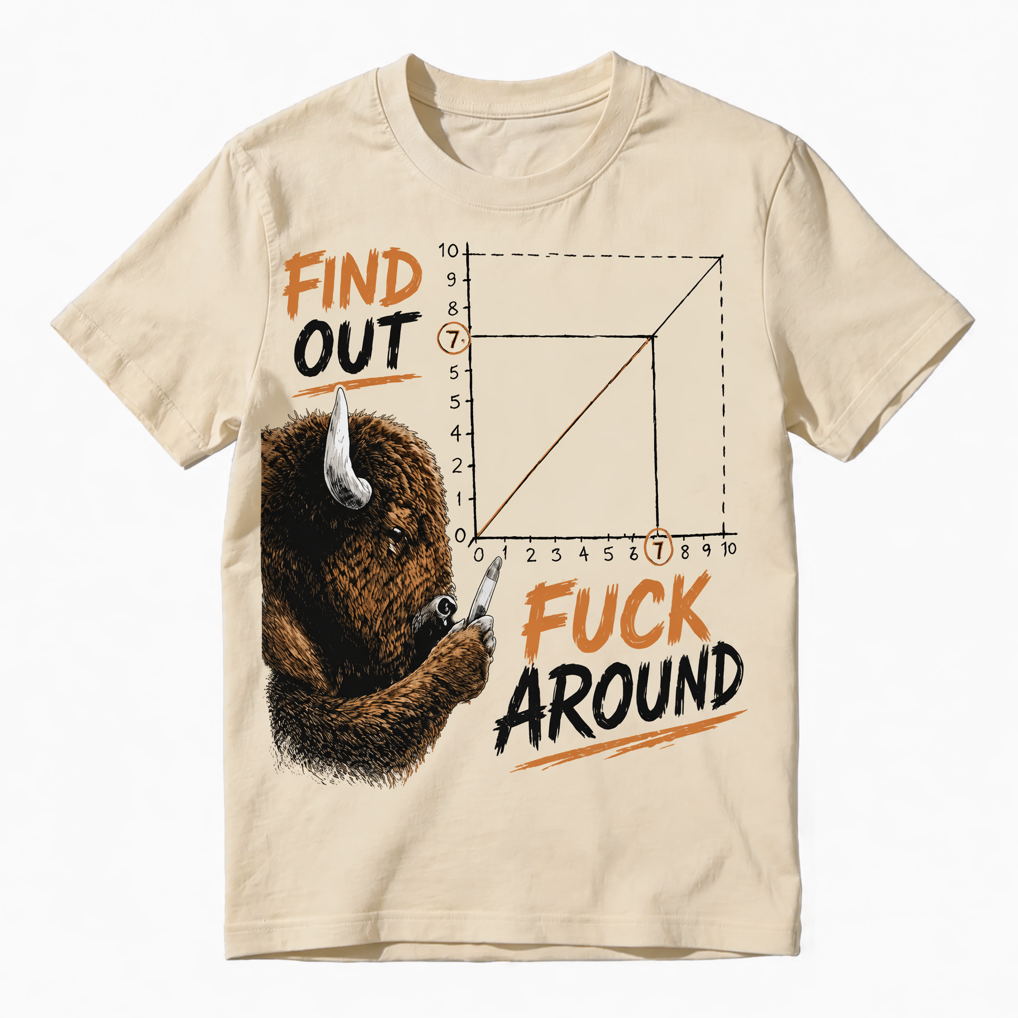 Find Out Funny Bison Graphic T-Shirt | FAFO Meme Vintage Graphic Tee