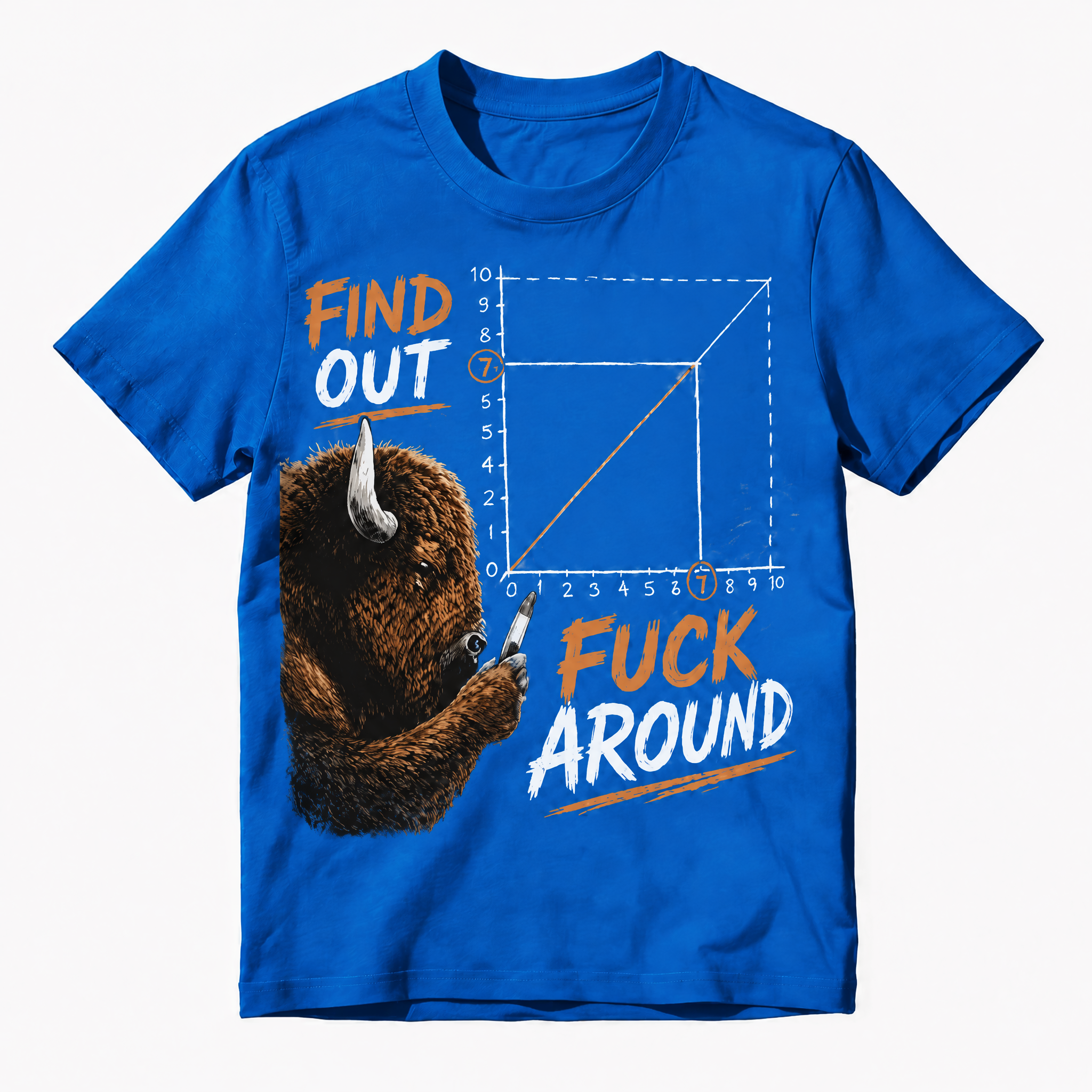 Find Out Funny Bison Graphic T-Shirt | FAFO Meme Vintage Graphic Tee