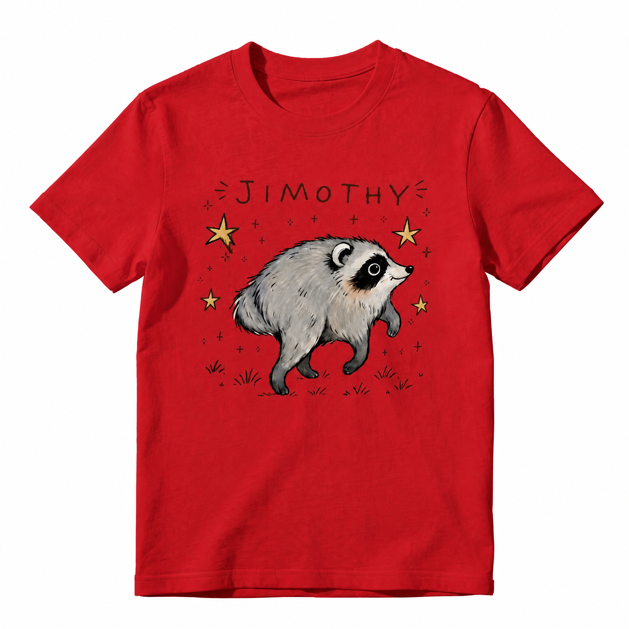 Believe Raccoon Graphic T-Shirt | Cute Wildlife Animal Lover Tee