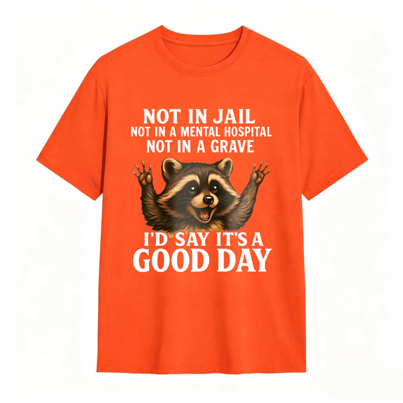 Raccoon Not In Jail Not In A Mental Hospital Not In A Grave I D Say Its A Good Day Unisex Classic T-shirt