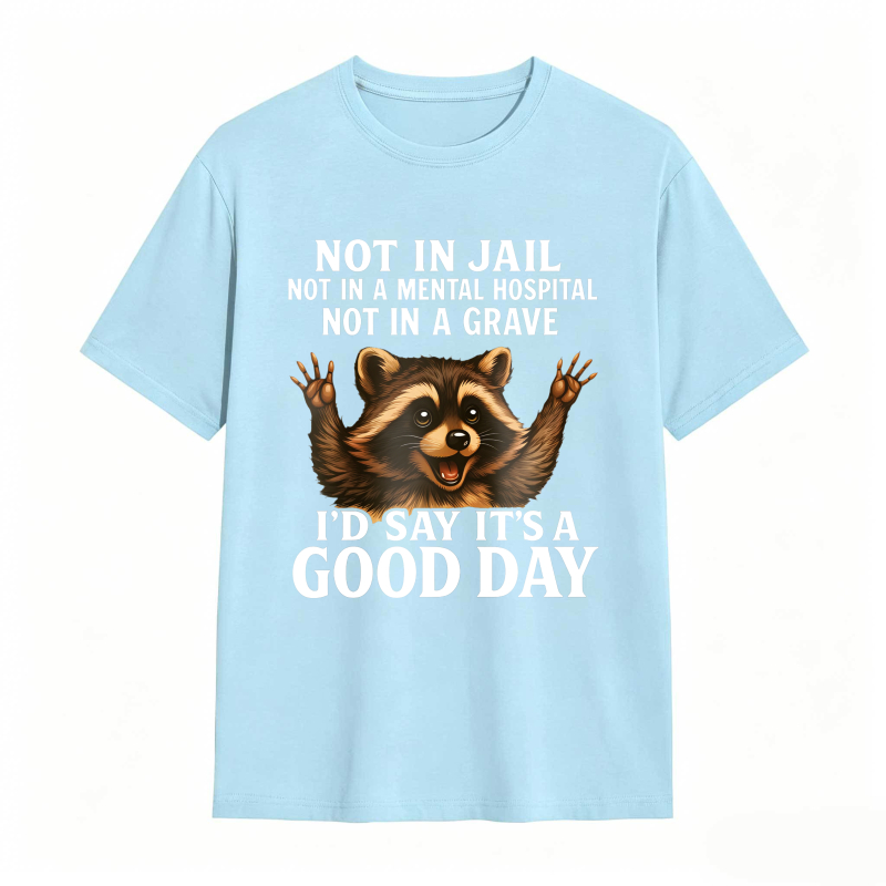 Raccoon Not In Jail Not In A Mental Hospital Not In A Grave I D Say Its A Good Day Unisex Classic T-shirt