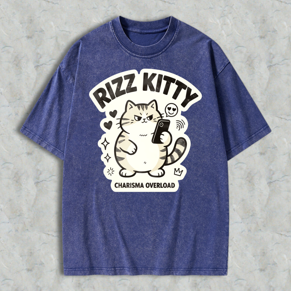 Rizz Kitty Charisma Overload Cartoon Cat Graphic Washed T-shirt