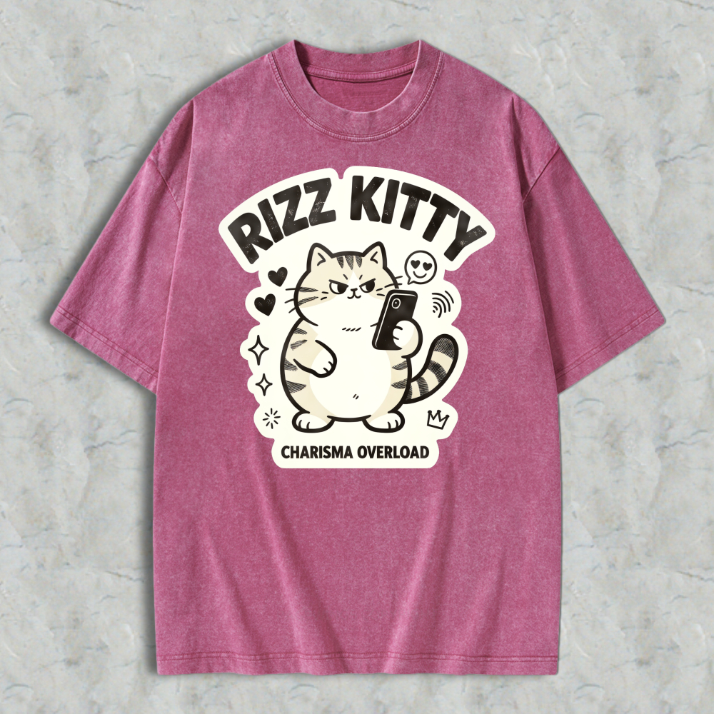 Rizz Kitty Charisma Overload Cartoon Cat Graphic Washed T-shirt