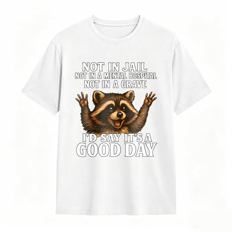 Raccoon Not In Jail Not In A Mental Hospital Not In A Grave I D Say Its A Good Day Unisex Classic T-shirt