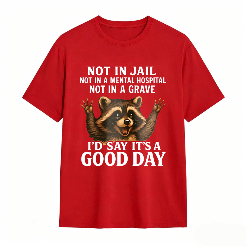 Raccoon Not In Jail Not In A Mental Hospital Not In A Grave I D Say Its A Good Day Unisex Classic T-shirt