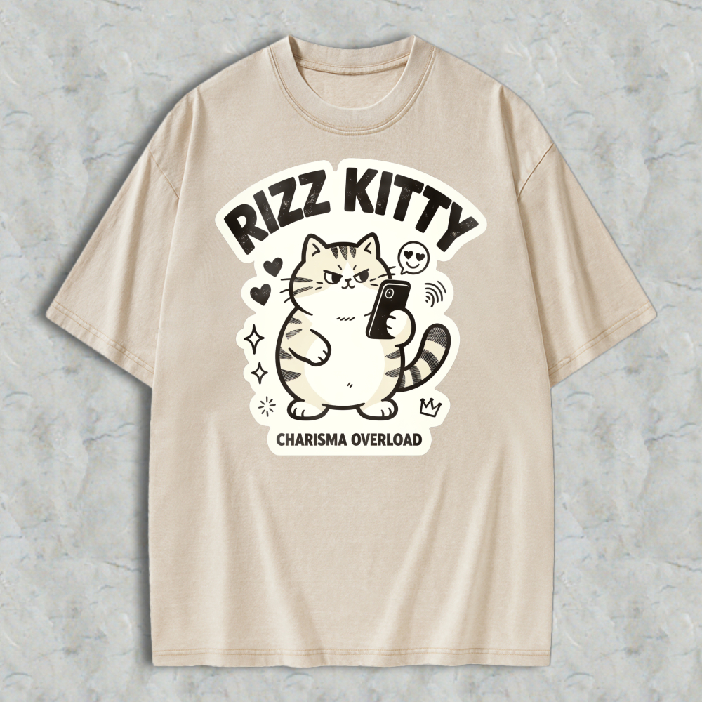 Rizz Kitty Charisma Overload Cartoon Cat Graphic Washed T-shirt