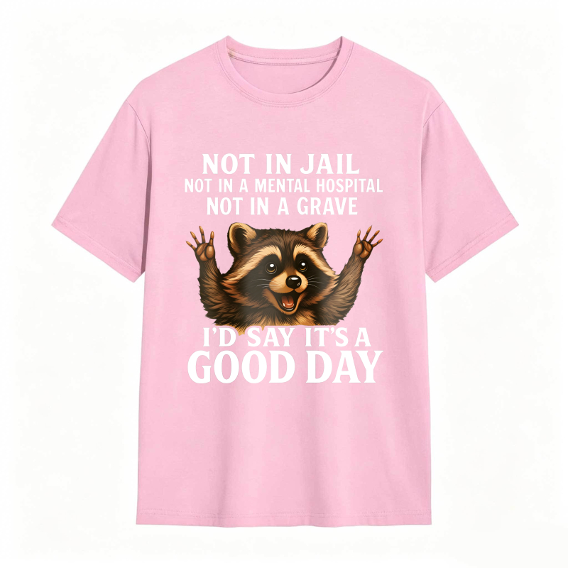 Raccoon Not In Jail Not In A Mental Hospital Not In A Grave I D Say Its A Good Day Unisex Classic T-shirt