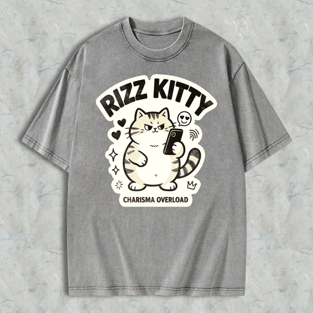 Rizz Kitty Charisma Overload Cartoon Cat Graphic Washed T-shirt