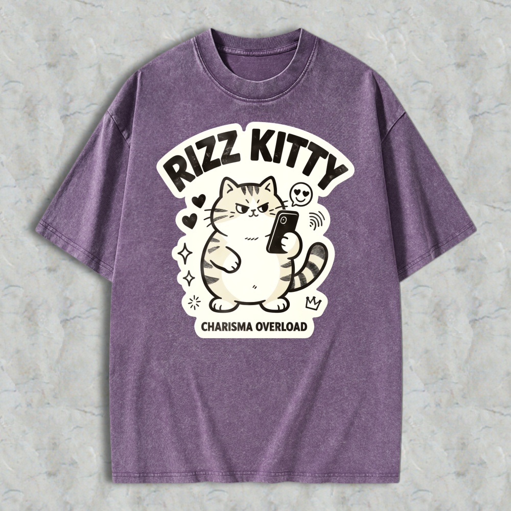 Rizz Kitty Charisma Overload Cartoon Cat Graphic Washed T-shirt