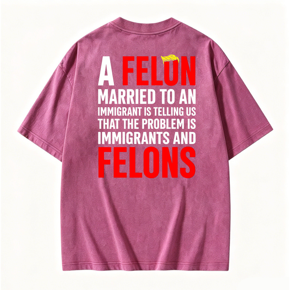 A Felon Married To An Immigrant Is Telling Us That The Problem Is Immigrants And Felons Graphic Washed T-shirt