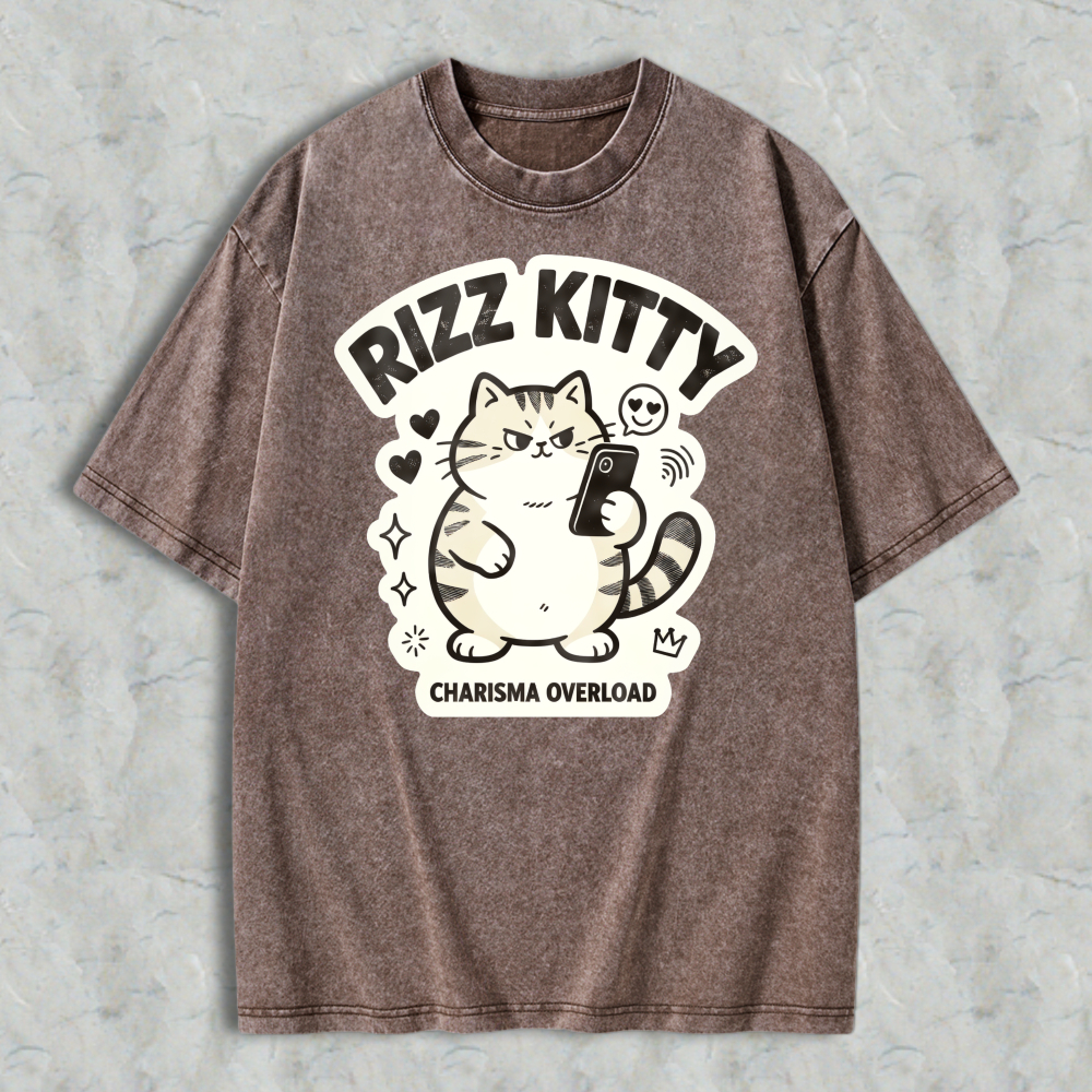 Rizz Kitty Charisma Overload Cartoon Cat Graphic Washed T-shirt