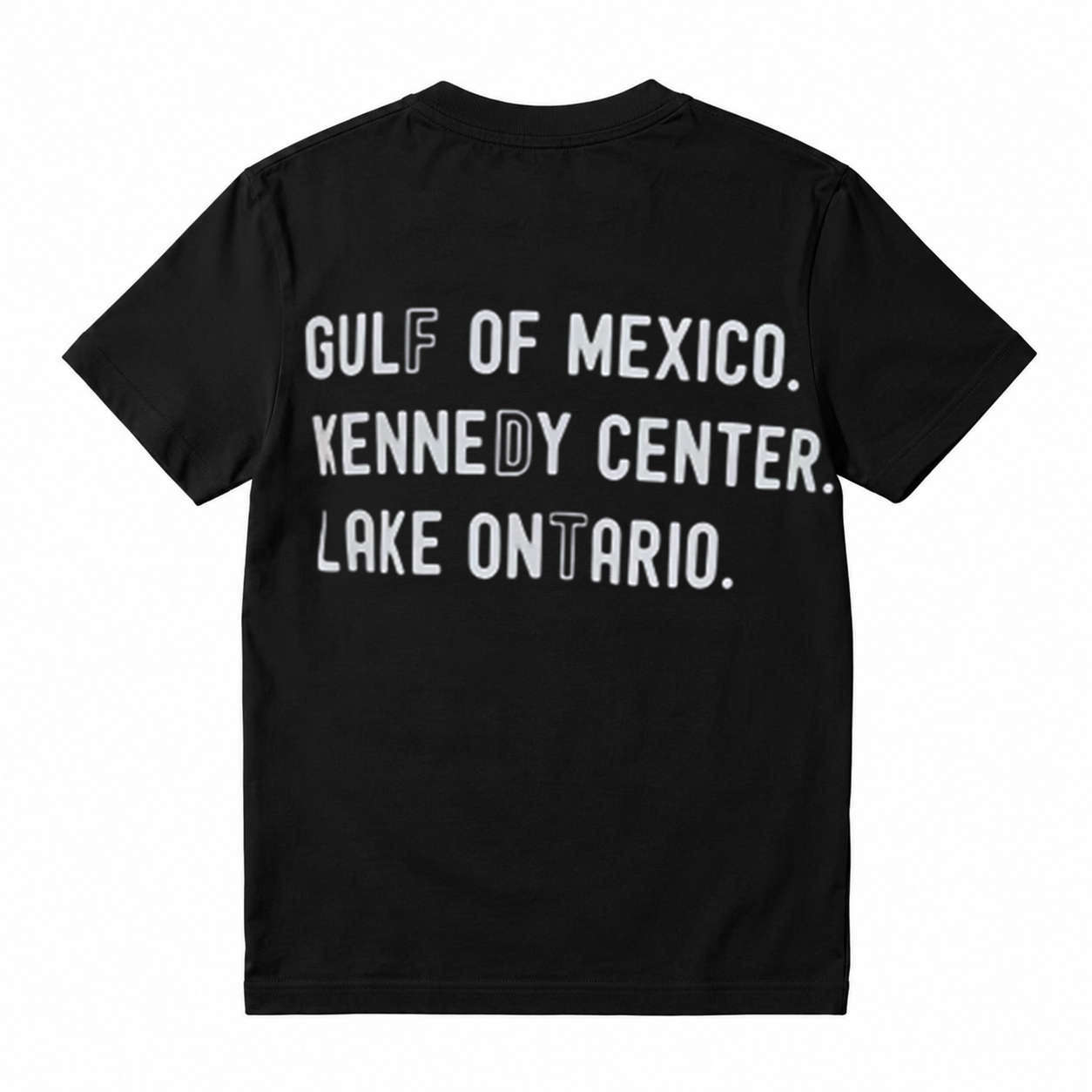 Gulf Of Mexico Kennedy Center Lake Ontario Funny Meme Graphic T‑Shirt