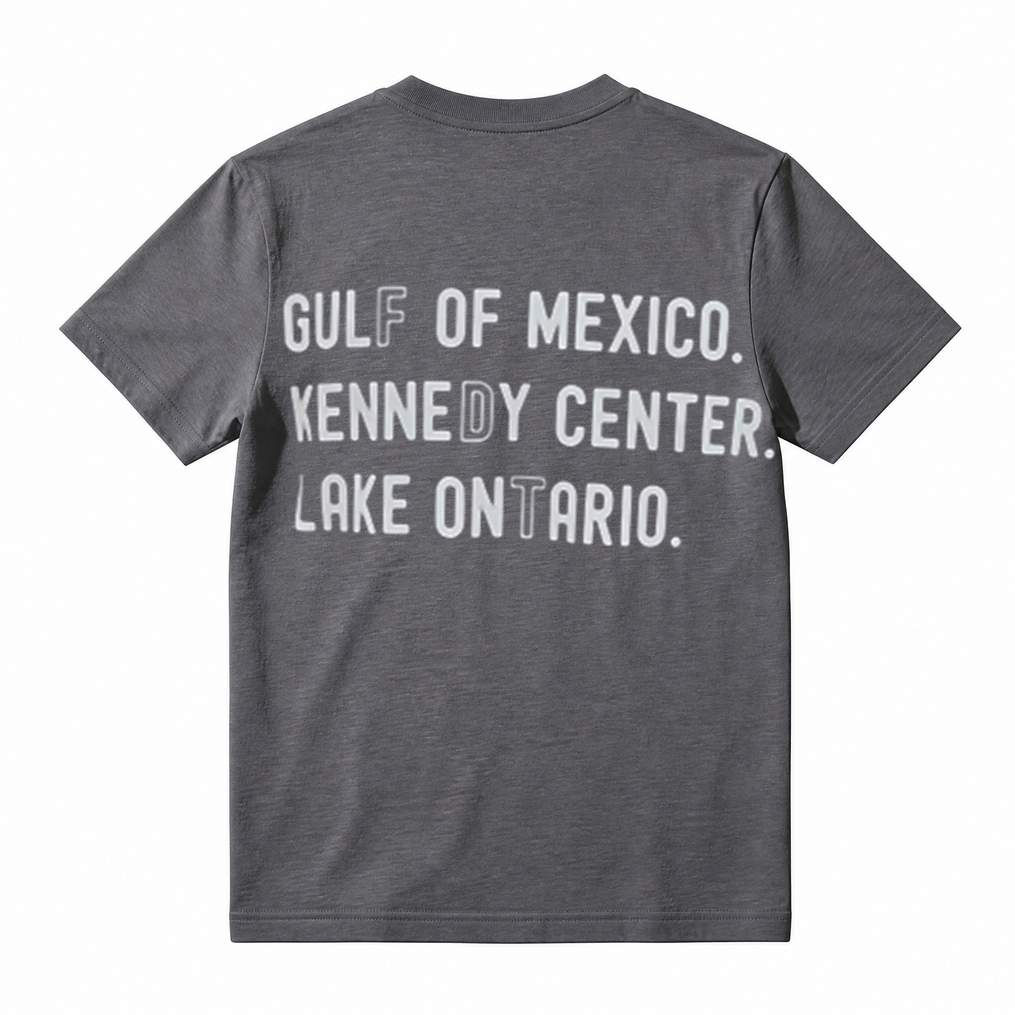 Gulf Of Mexico Kennedy Center Lake Ontario Funny Meme Graphic T‑Shirt