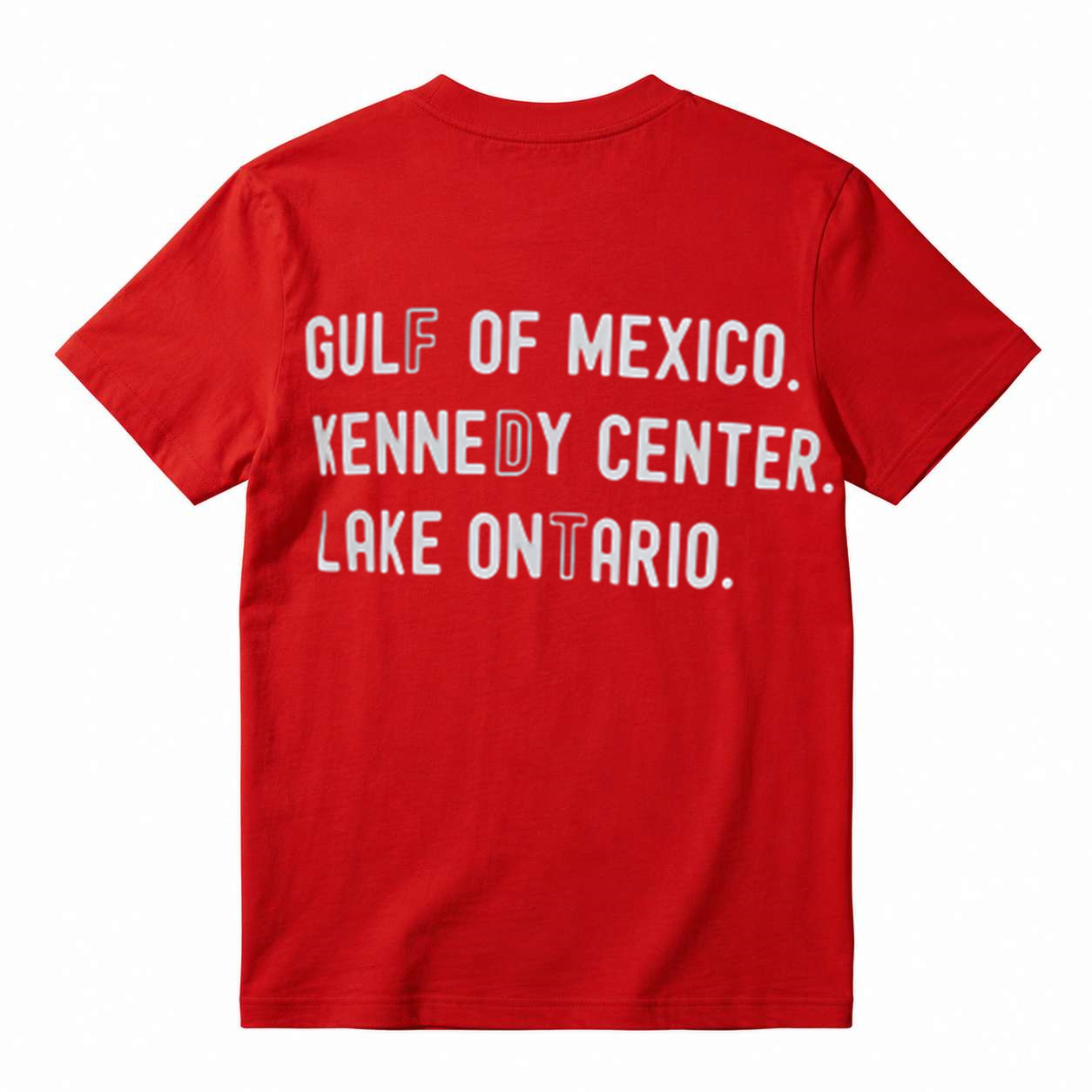 Gulf Of Mexico Kennedy Center Lake Ontario Funny Meme Graphic T‑Shirt
