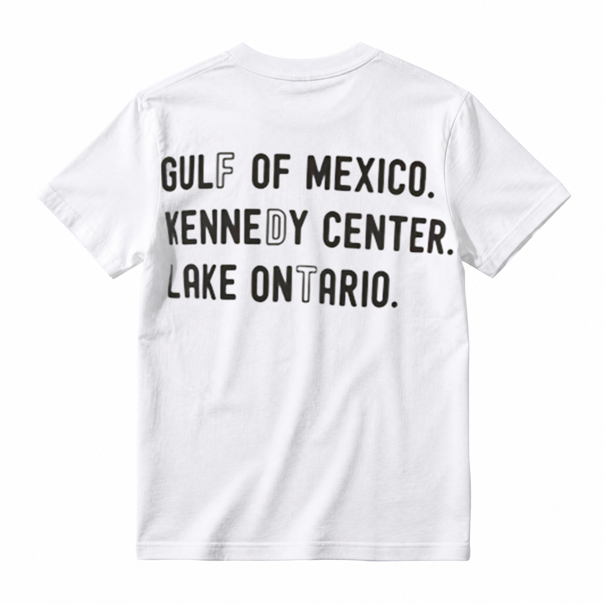 Gulf Of Mexico Kennedy Center Lake Ontario Funny Meme Graphic T‑Shirt
