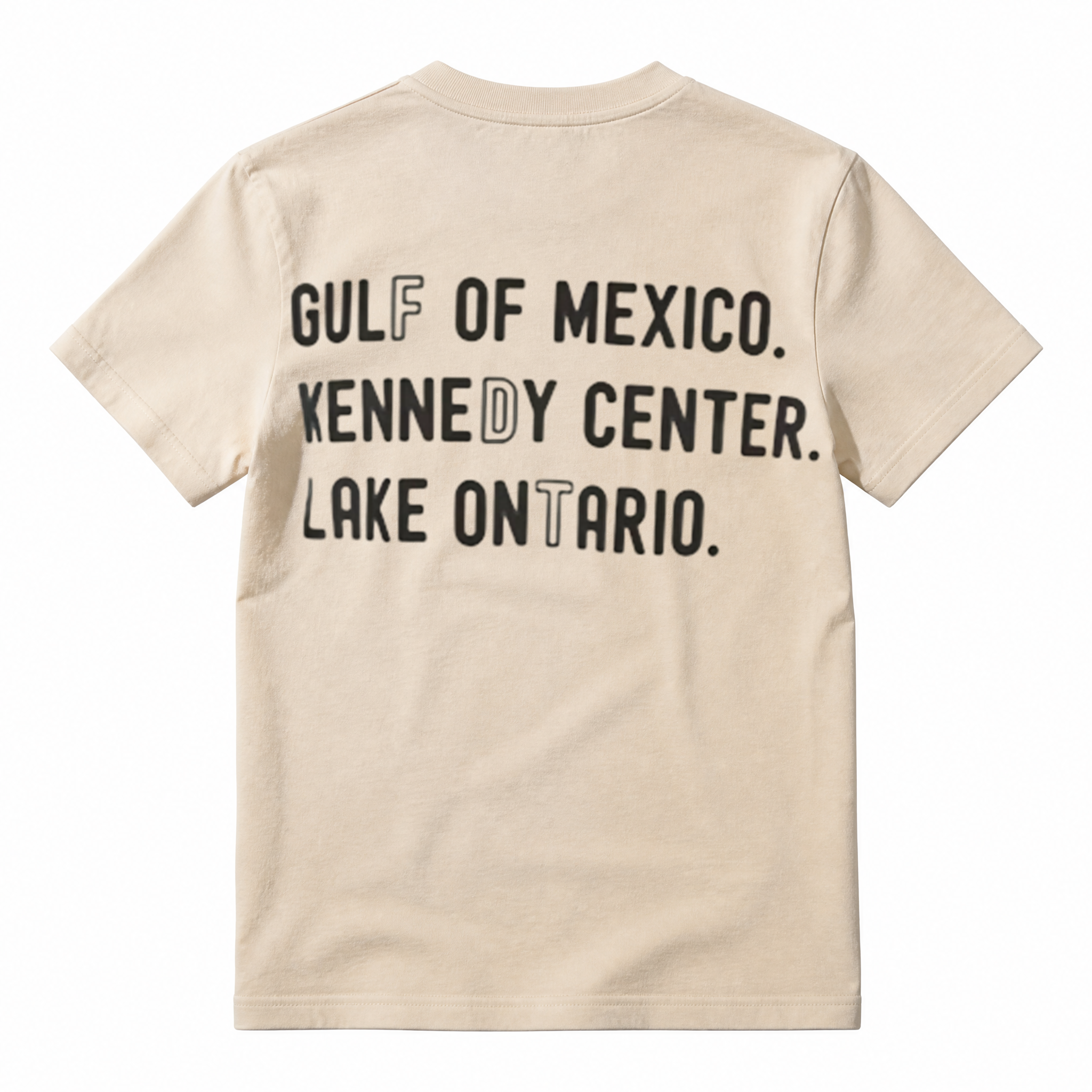 Gulf Of Mexico Kennedy Center Lake Ontario Funny Meme Graphic T‑Shirt