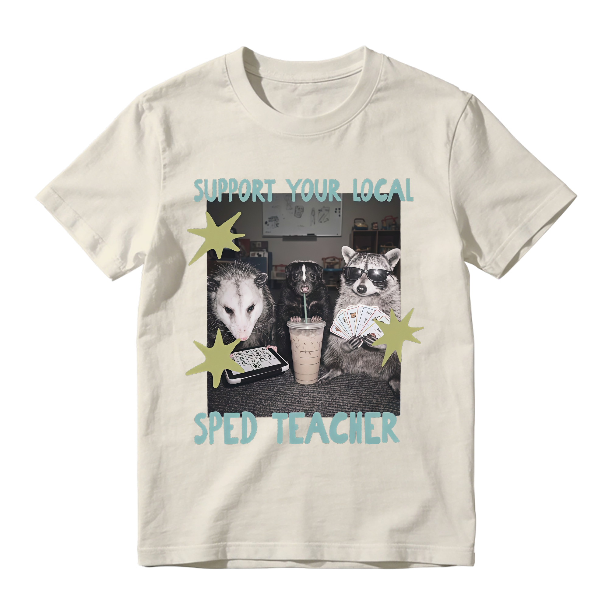 Support Your Local SPED Teacher Funny Raccoon Opossum Graphic T-Shirt, Special Education Teacher Gift Tee