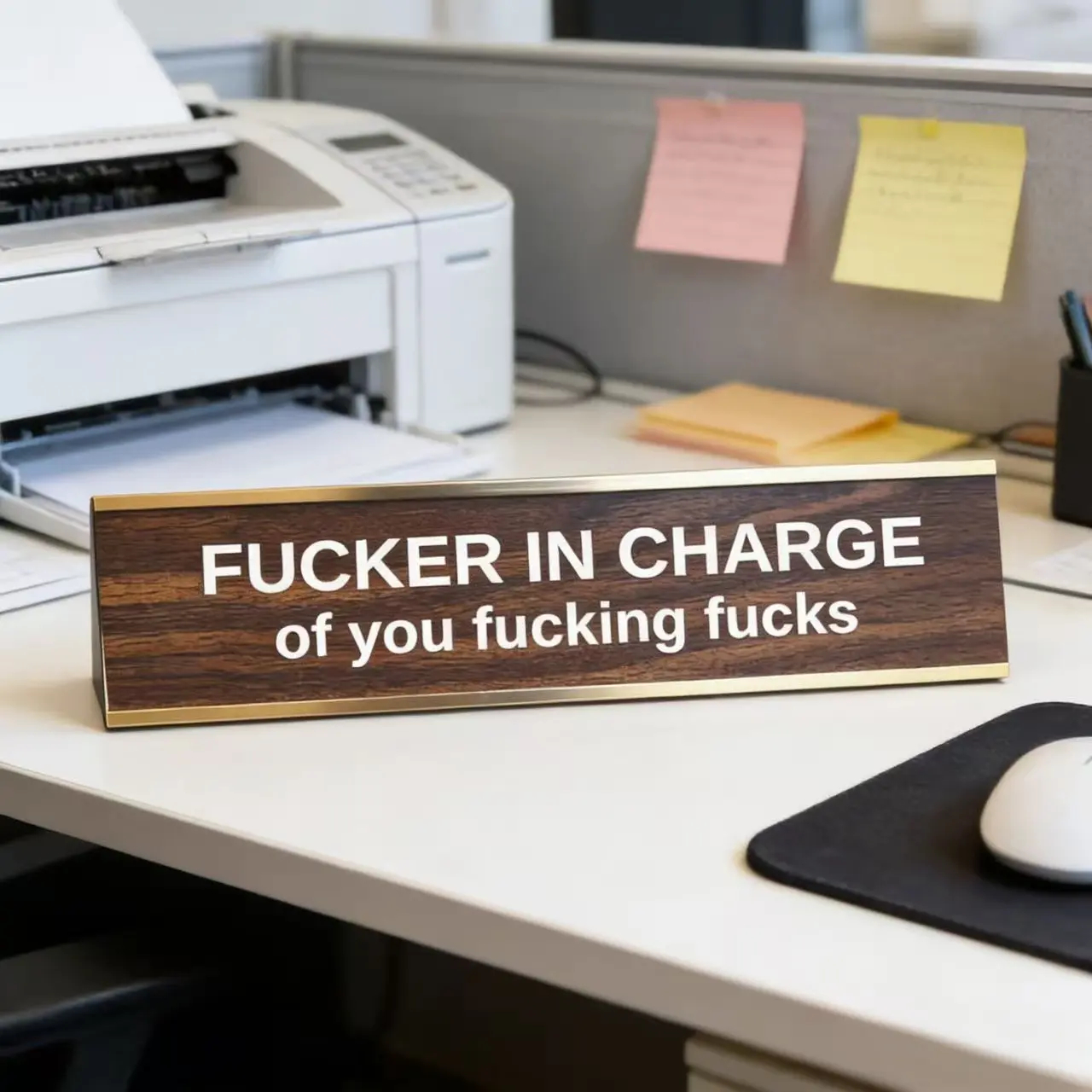 "F'er in Charge of You F'ing F's" Engraved Aluminium Metal Sign - Funny Office Desktop Decor, Metal Signage, Gift for Stepdad & Coworkers, Wall/Bar Decorative Plaque