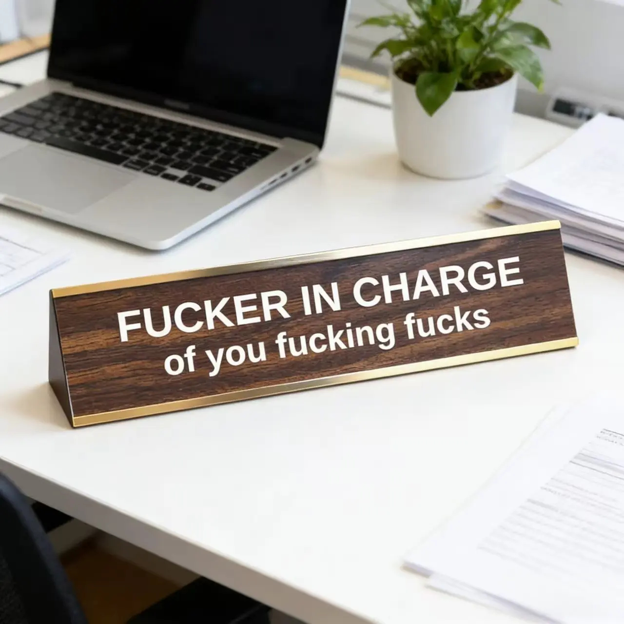 "F'er in Charge of You F'ing F's" Engraved Aluminium Metal Sign - Funny Office Desktop Decor, Metal Signage, Gift for Stepdad & Coworkers, Wall/Bar Decorative Plaque