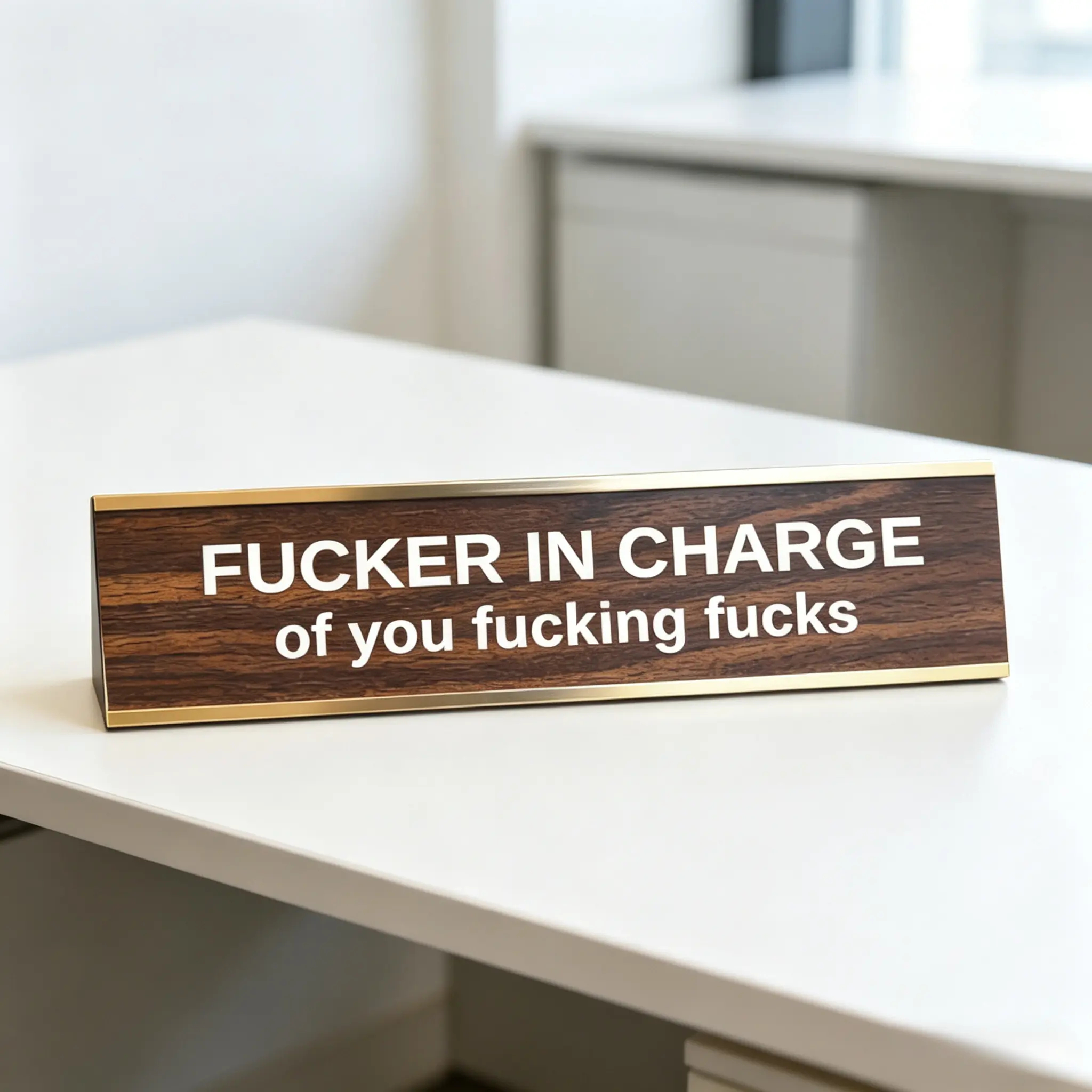 "F'er in Charge of You F'ing F's" Engraved Aluminium Metal Sign - Funny Office Desktop Decor, Metal Signage, Gift for Stepdad & Coworkers, Wall/Bar Decorative Plaque