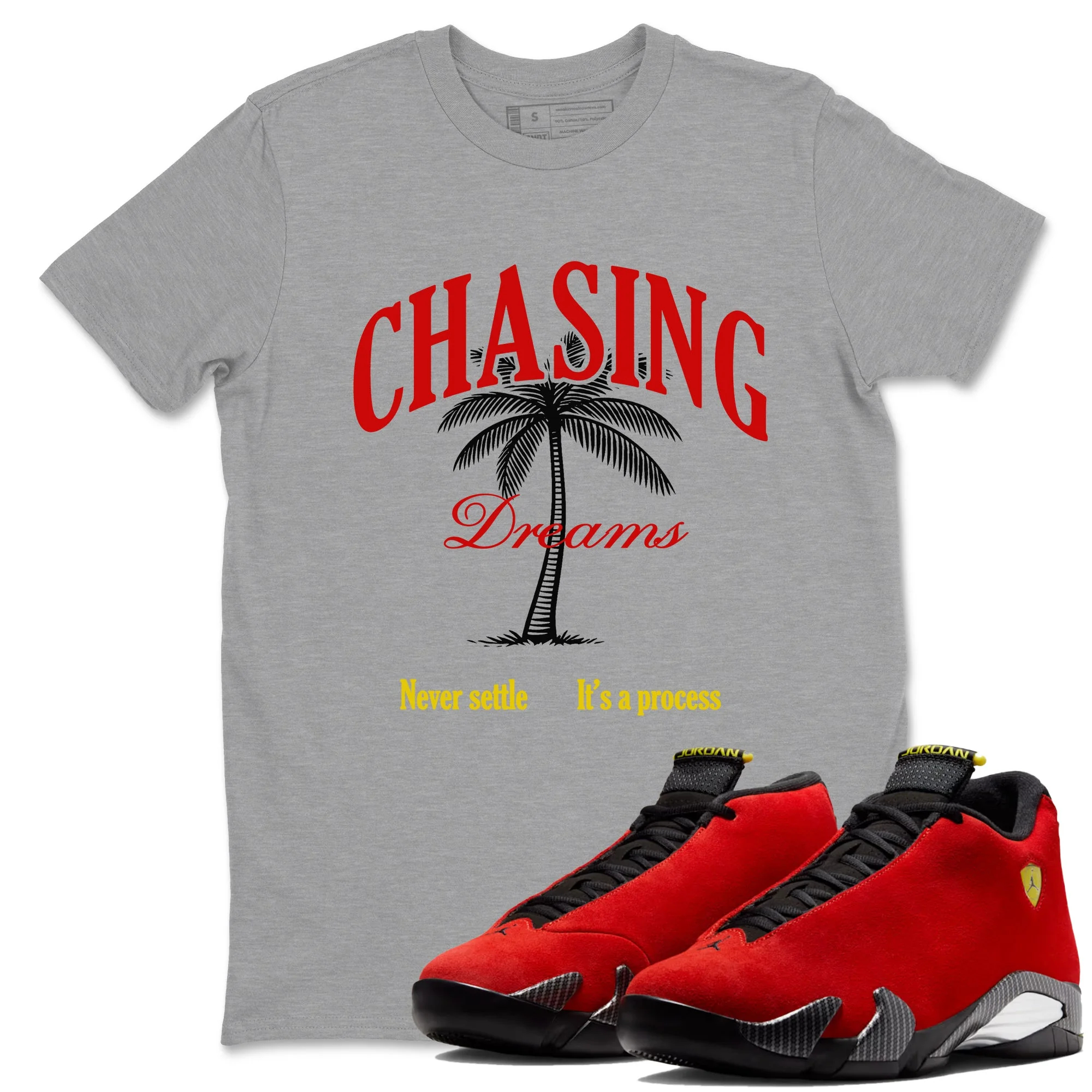 Chasing Dreams Sneaker Tees - Air Jordan 14 Challenge Red